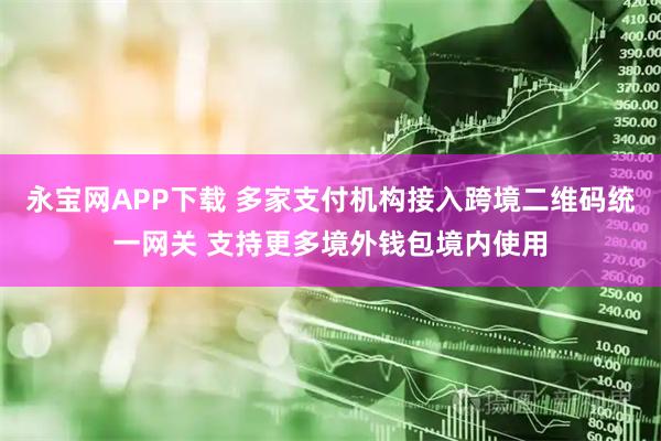 永宝网APP下载 多家支付机构接入跨境二维码统一网关 支持更多境外钱包境内使用