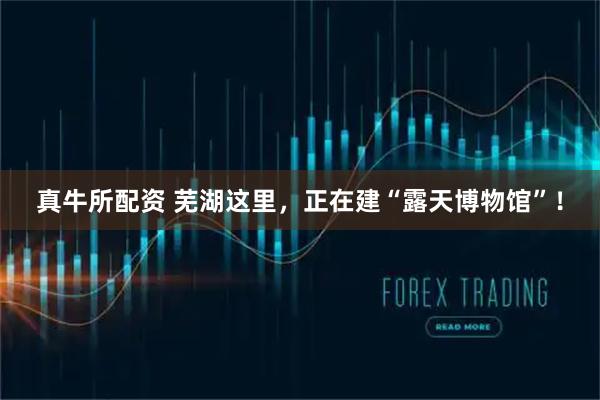 真牛所配资 芜湖这里，正在建“露天博物馆”！